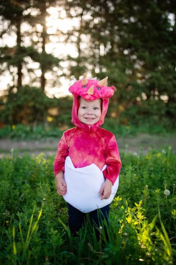 Baby triceratops (str. 1-2 år)