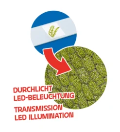 Barne- og junior mikroskop m. LED, 40x-640x
