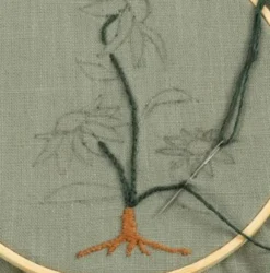 Broder dine egne bilder, 2 stk