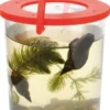 Forstørrelsesglass med håndtak, Ø 9,5 cm.