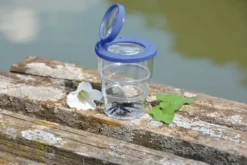 Insektsglass, foldbart - Ø 7 cm.