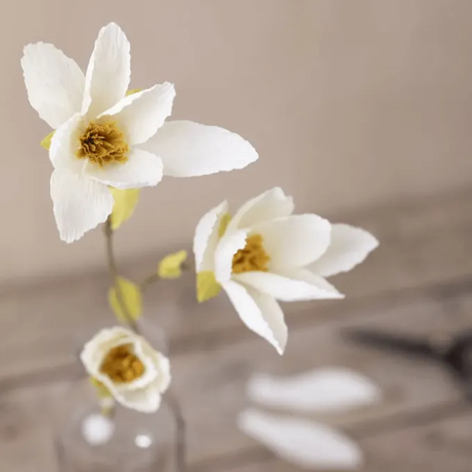 Kreppapir mini - Magnoliagren