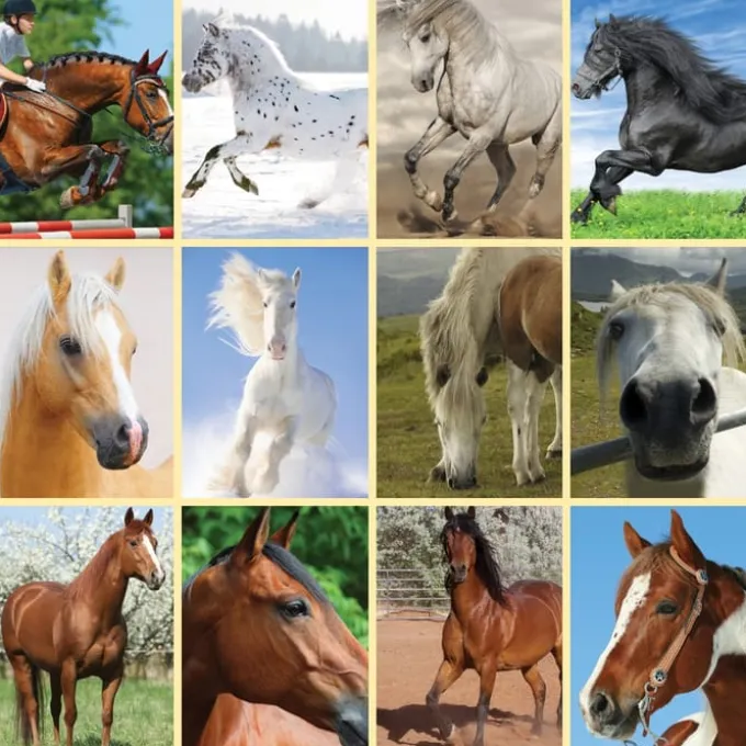 Lommelykt med dias - Hest