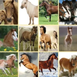 Lommelykt med dias - Hest