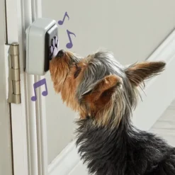 Lær hunden din å snakke - Gå tur-knapp