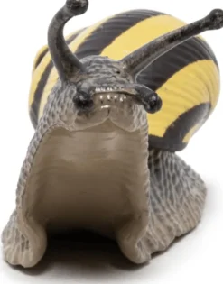 Lundsnegle - L: 6 cm