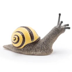 Lundsnegle - L: 6 cm
