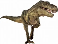 Lysbilder med dinosaur