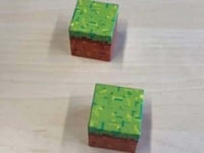 Magnetiske klosser - Et lite hagehus, 100 stk.