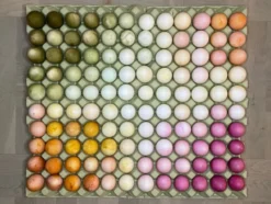 Naturlig farge til egg - 5 farger