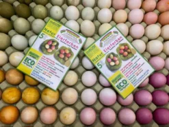 Naturlig farge til egg - 5 farger