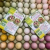 Naturlig farge til egg - 5 farger