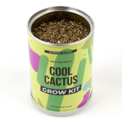 Plant selv sett - Kaktus