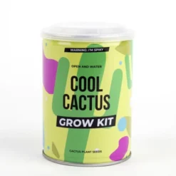 Plant selv sett - Kaktus