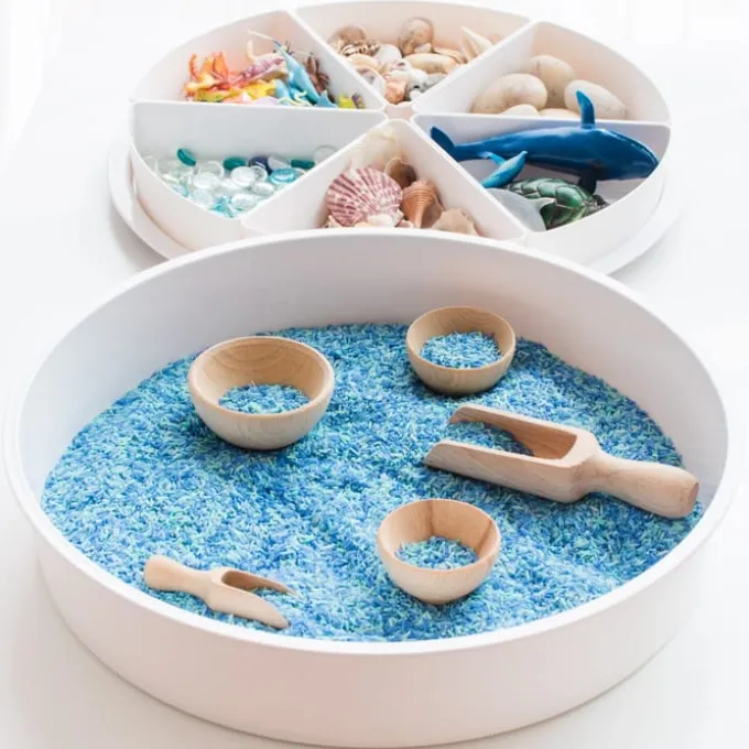 PlayTRAY sansebrett med lokk