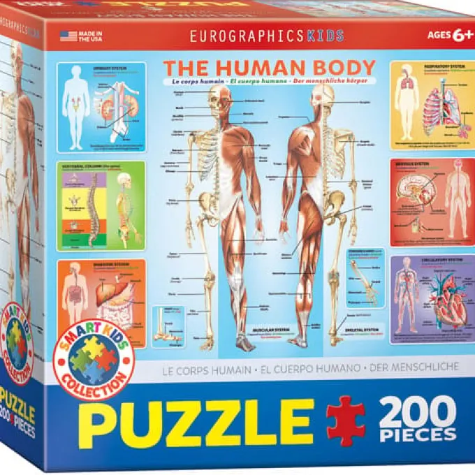 Puslespill - Kroppen, 200 brikker