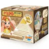 Pyramidemysterium