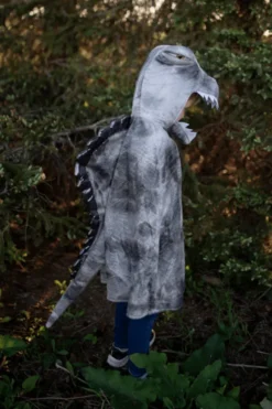 Spinosaurus (str. 4-6 år)