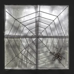 Svart spindelvev Ø150 cm