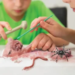 Utgrav insekter og kryp