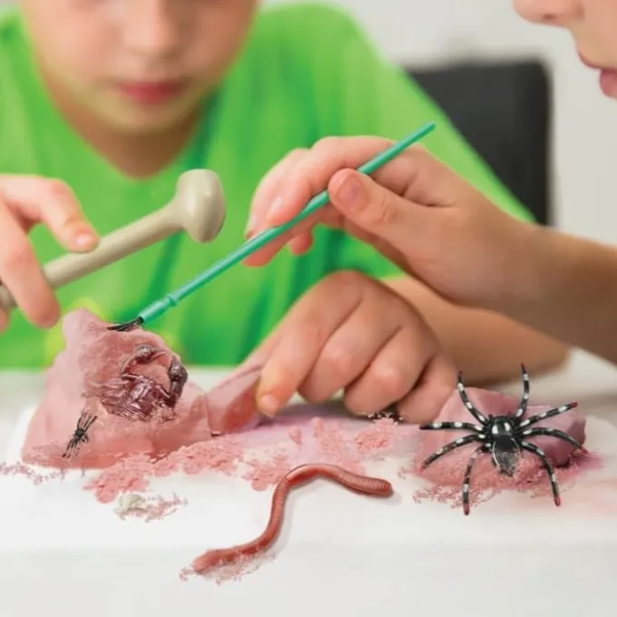 Utgrav insekter og kryp