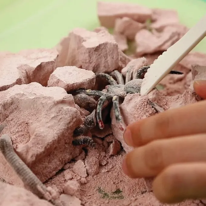 Utgrav insekter og kryp