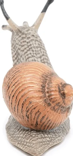 Vinbergsnegl - L: 6 cm